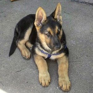 Meet your Posher, Michelle